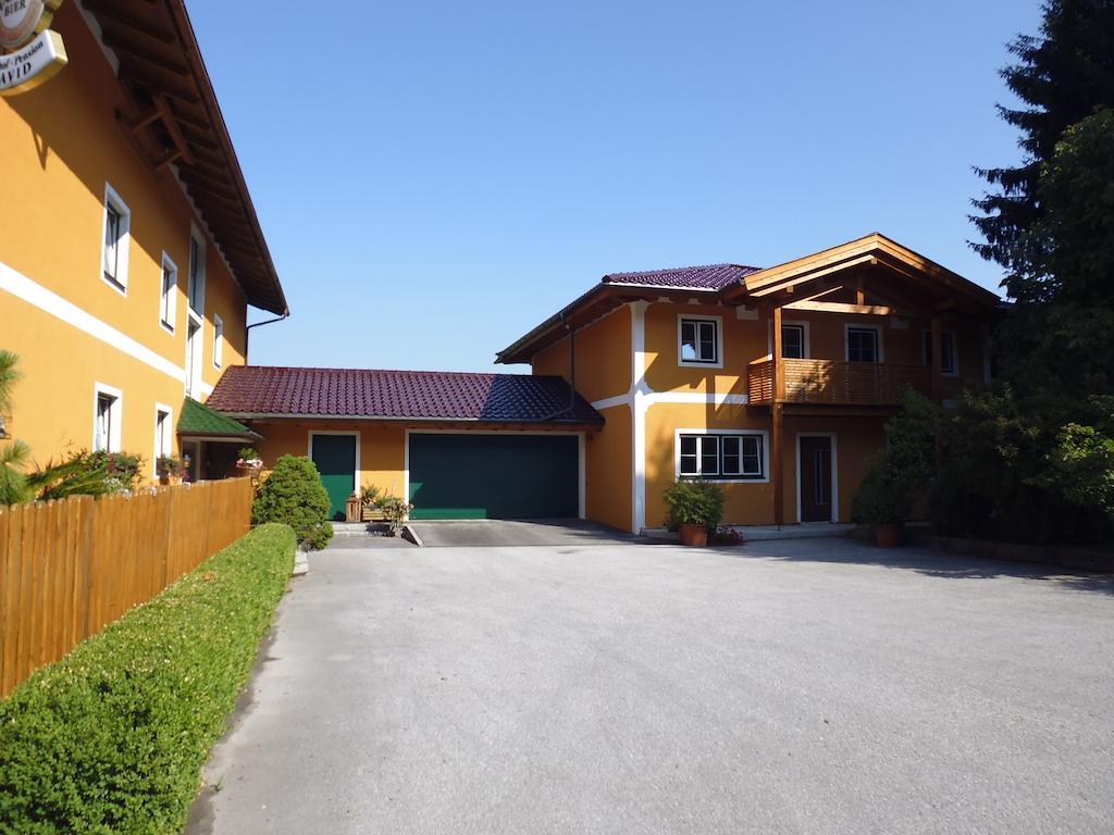 Pension David Hotel Puch bei Hallein Exterior photo